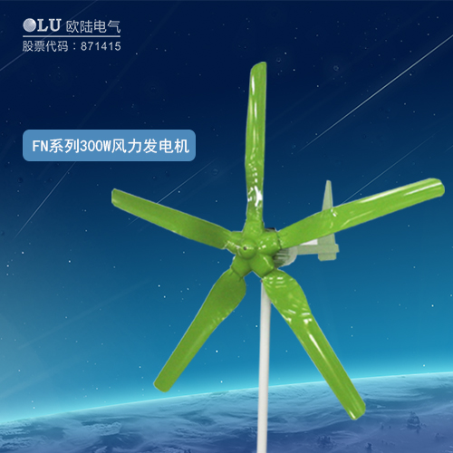 FN系列300W風(fēng)力發(fā)電機(jī)