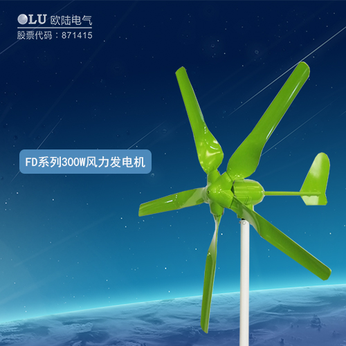 FD系列300W風(fēng)力發(fā)電機