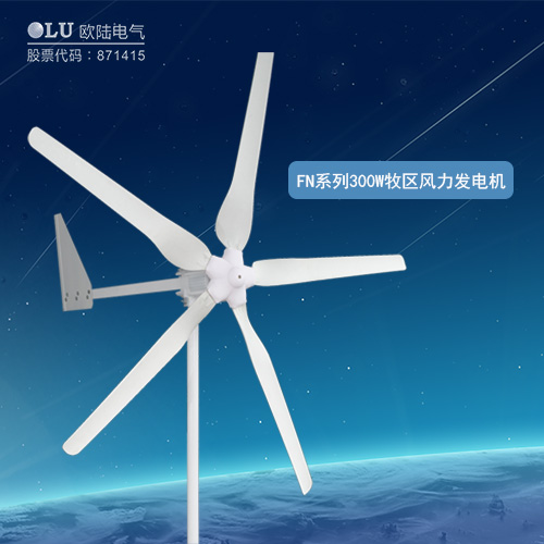 FN系列300W牧區(qū)風(fēng)力發(fā)電機(jī)