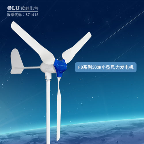 FD系列300W小型風(fēng)力發(fā)電機(jī)