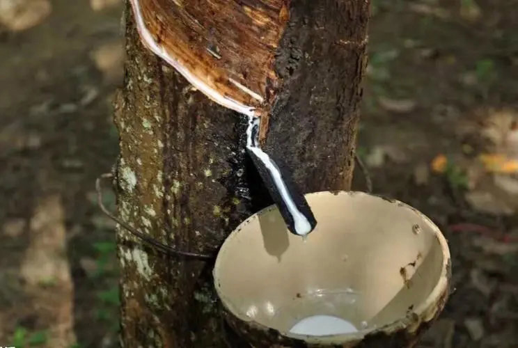 乳膠消泡劑應用 乳膠消泡劑應用